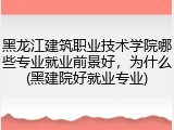 黑龙江建筑职业技术学院哪些专业就业前景好，为什么(黑建院好就业专业)