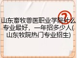 山东畜牧兽医职业学院什么专业最好，一年招多少人(山东牧院热门专业招生)