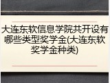 大连东软信息学院共开设有哪些类型奖学金(大连东软奖学金种类)