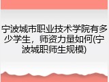 宁波城市职业技术学院有多少学生，师资力量如何(宁波城职师生规模)