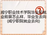 咸宁职业技术学院毕业后就业前景怎么样，毕业生去向(咸宁职院就业去向)