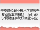 宁夏财经职业技术学院哪些专业就业前景好，为什么(宁夏财经学院好就业专业)