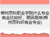 郴州思科职业学院什么专业就业比较好，原因是啥(郴州思科好就业专业)
