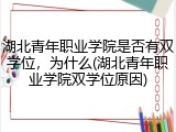 湖北青年职业学院是否有双学位，为什么(湖北青年职业学院双学位原因)