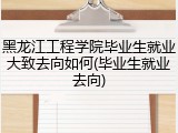 黑龙江工程学院毕业生就业大致去向如何(毕业生就业去向)