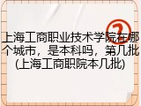 上海工商职业技术学院在哪个城市，是本科吗，第几批(上海工商职院本几批)