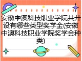 安徽中澳科技职业学院共开设有哪些类型奖学金(安徽中澳科技职业学院奖学金种类)