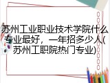 苏州工业职业技术学院什么专业最好，一年招多少人(苏州工职院热门专业)