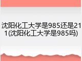 沈阳化工大学是985还是211(沈阳化工大学是985吗)