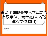 青岛飞洋职业技术学院是否有双学位，为什么(青岛飞洋双学位原因)