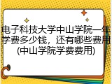 电子科技大学中山学院一年学费多少钱，还有哪些费用(中山学院学费费用)