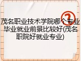 茂名职业技术学院哪个专业毕业就业前景比较好(茂名职院好就业专业)