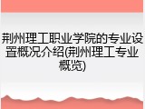 荆州理工职业学院的专业设置概况介绍(荆州理工专业概览)