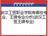 武汉工贸职业学院有哪些专业，王牌专业分析(武汉工贸王牌专业)