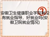 安徽卫生健康职业学院有没有就业指导，好就业吗(安徽卫院就业情况)