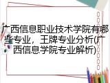 广西信息职业技术学院有哪些专业，王牌专业分析(广西信息学院专业解析)
