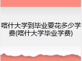 喀什大学到毕业要花多少学费(喀什大学毕业学费)
