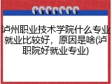 泸州职业技术学院什么专业就业比较好，原因是啥(泸职院好就业专业)