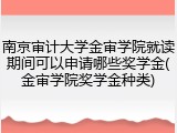 南京审计大学金审学院就读期间可以申请哪些奖学金(金审学院奖学金种类)