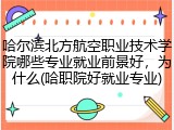 哈尔滨北方航空职业技术学院哪些专业就业前景好，为什么(哈职院好就业专业)