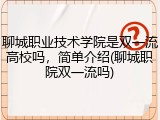 聊城职业技术学院是双一流高校吗，简单介绍(聊城职院双一流吗)