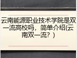 云南能源职业技术学院是双一流高校吗，简单介绍(云南双一流？)