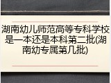 湖南幼儿师范高等专科学校是一本还是本科第二批(湖南幼专属第几批)