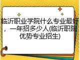 临沂职业学院什么专业最好，一年招多少人(临沂职院优势专业招生)