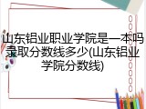 山东铝业职业学院是一本吗录取分数线多少(山东铝业学院分数线)