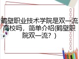 鹤壁职业技术学院是双一流高校吗，简单介绍(鹤壁职院双一流？)