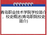 青岛职业技术学院学校简介，校史概述(青岛职院校史简介)