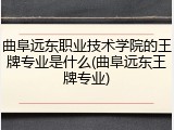 曲阜远东职业技术学院的王牌专业是什么(曲阜远东王牌专业)