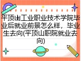平顶山工业职业技术学院毕业后就业前景怎么样，毕业生去向(平顶山职院就业去向)
