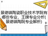 景德镇陶瓷职业技术学院有哪些专业，王牌专业分析(景德镇陶院专业解析)