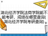 湖北经济学院法商学院能不能考研，成绩在哪里查询(湖北经济学院考研查询)