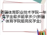 新疆体育职业技术学院一年奖学金最多能拿多少(新疆体育学院最高奖学金)