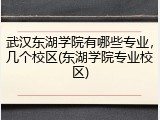 武汉东湖学院有哪些专业，几个校区(东湖学院专业校区)