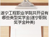 遂宁工程职业学院共开设有哪些类型奖学金(遂宁职院奖学金种类)