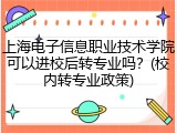上海电子信息职业技术学院可以进校后转专业吗？(校内转专业政策)