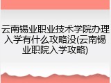 云南锡业职业技术学院办理入学有什么攻略没(云南锡业职院入学攻略)
