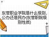 东营职业学院是什么级别，公办还是民办(东营职院级别性质)