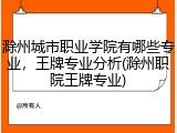 滁州城市职业学院有哪些专业，王牌专业分析(滁州职院王牌专业)