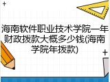 海南软件职业技术学院一年财政拨款大概多少钱(海南学院年拨款)