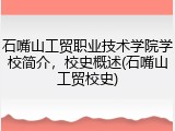 石嘴山工贸职业技术学院学校简介，校史概述(石嘴山工贸校史)