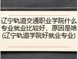 辽宁轨道交通职业学院什么专业就业比较好，原因是啥(辽宁轨道学院好就业专业)