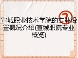 宣城职业技术学院的专业设置概况介绍(宣城职院专业概览)