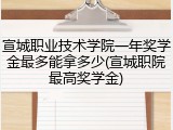宣城职业技术学院一年奖学金最多能拿多少(宣城职院最高奖学金)