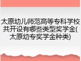 太原幼儿师范高等专科学校共开设有哪些类型奖学金(太原幼专奖学金种类)