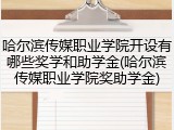 哈尔滨传媒职业学院开设有哪些奖学和助学金(哈尔滨传媒职业学院奖助学金)