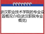 武汉职业技术学院的专业设置概况介绍(武汉职院专业概览)
